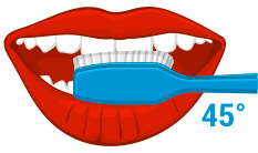 pulizia esterno denti
